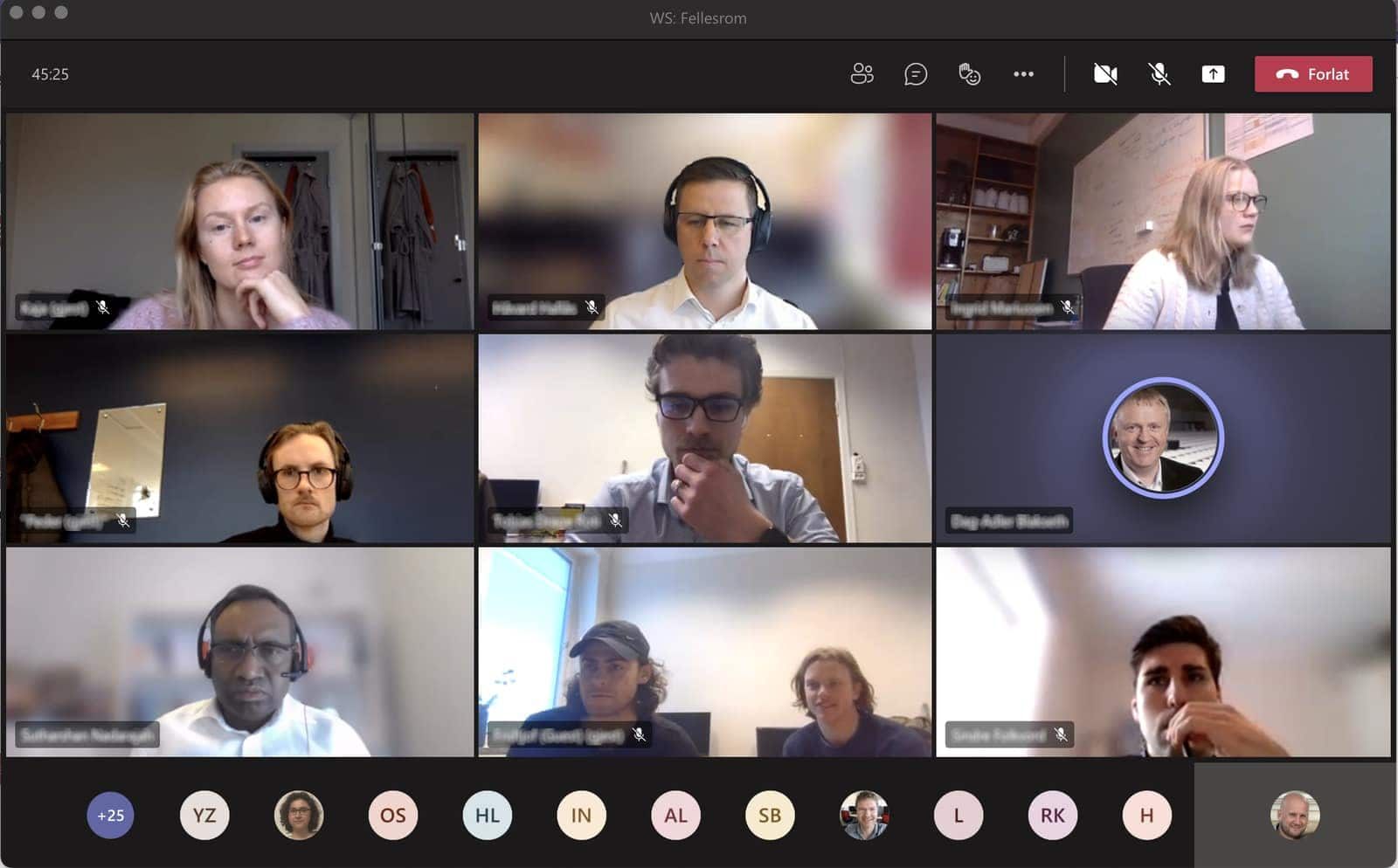 Many people participating in a digital meeting through web camera